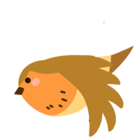 bird bird