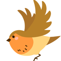 bird bird